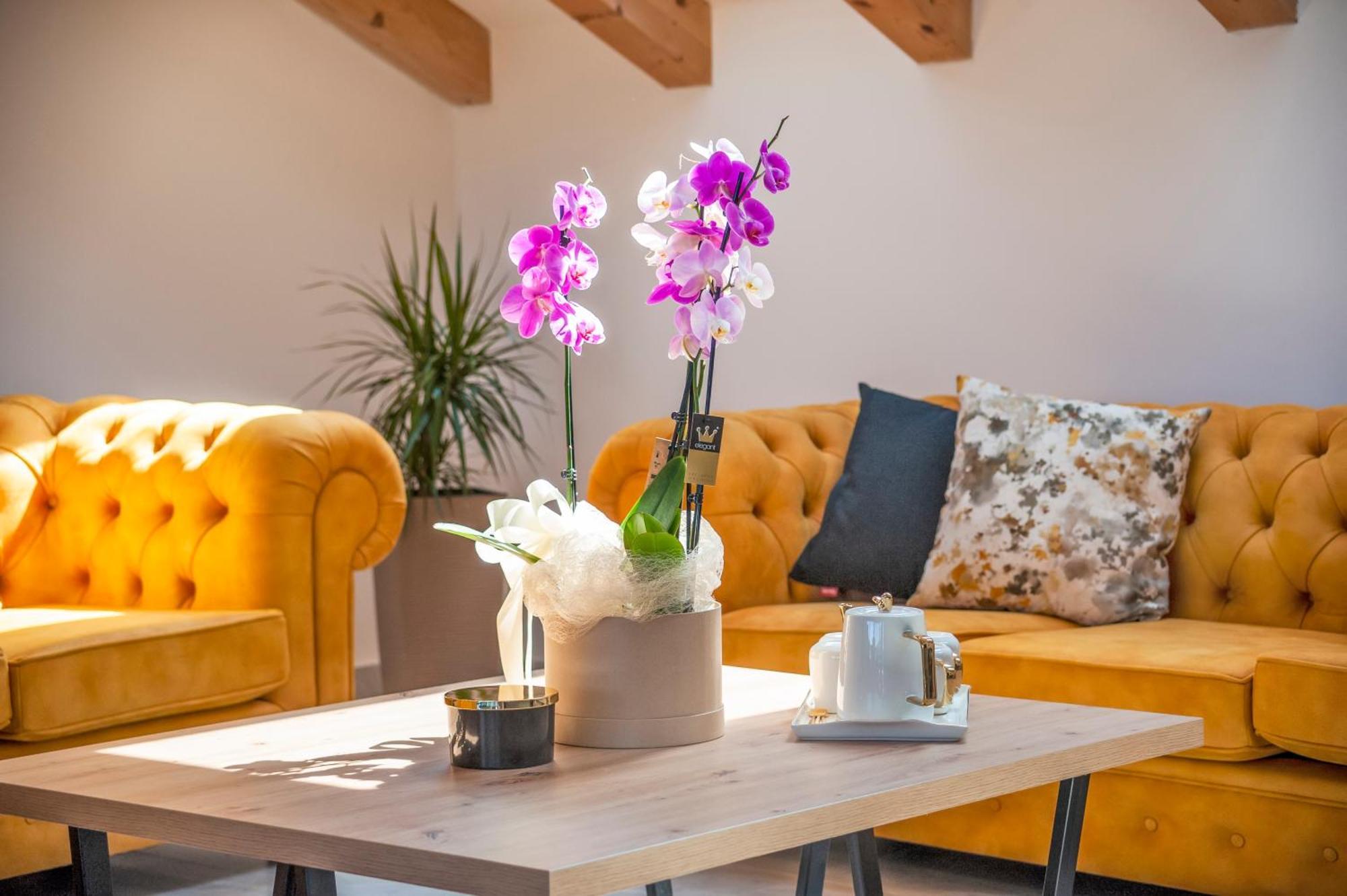 Boutique Residence Arion Rovinj Rom bilde